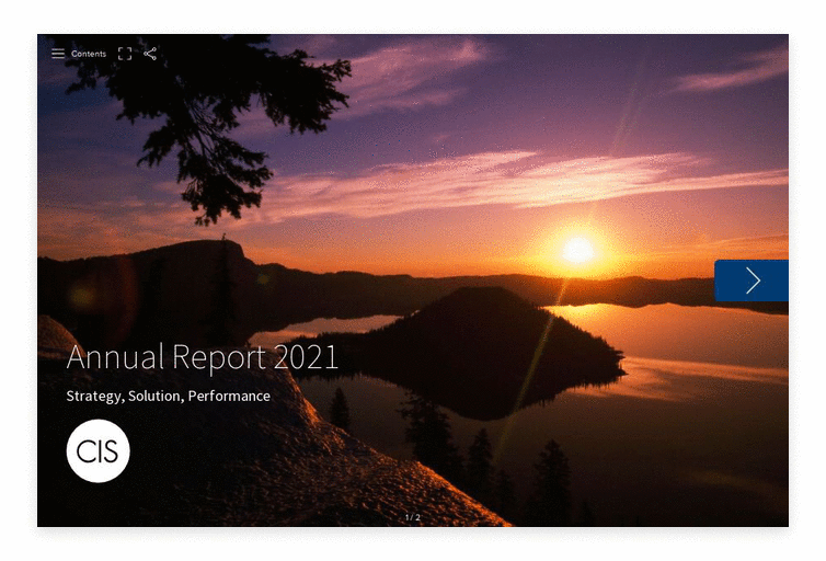 CIS Annual Report